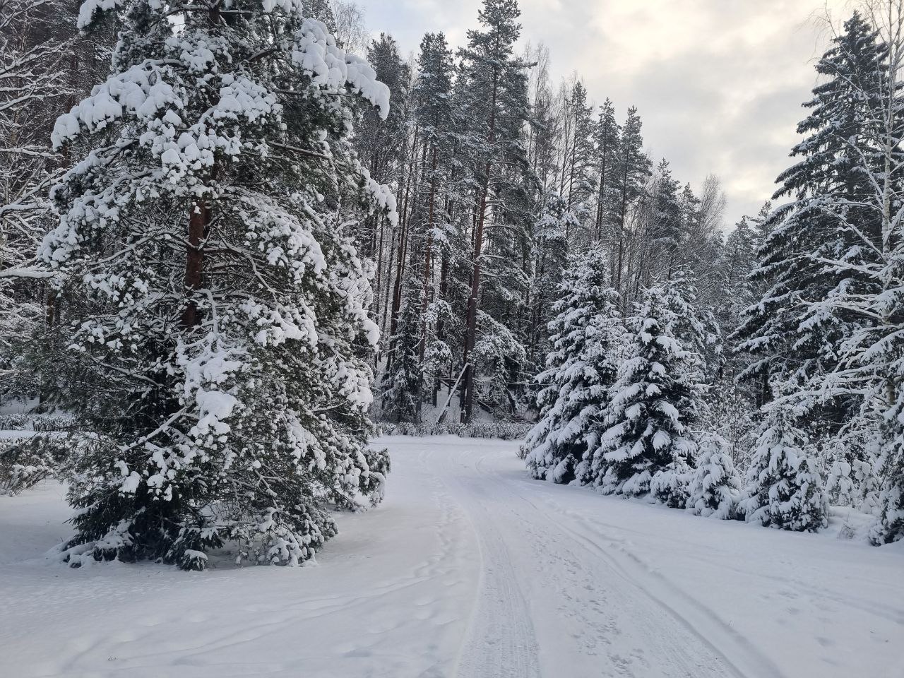 photo 5397761035164389065 y